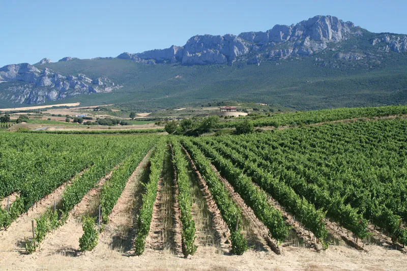 Rioja