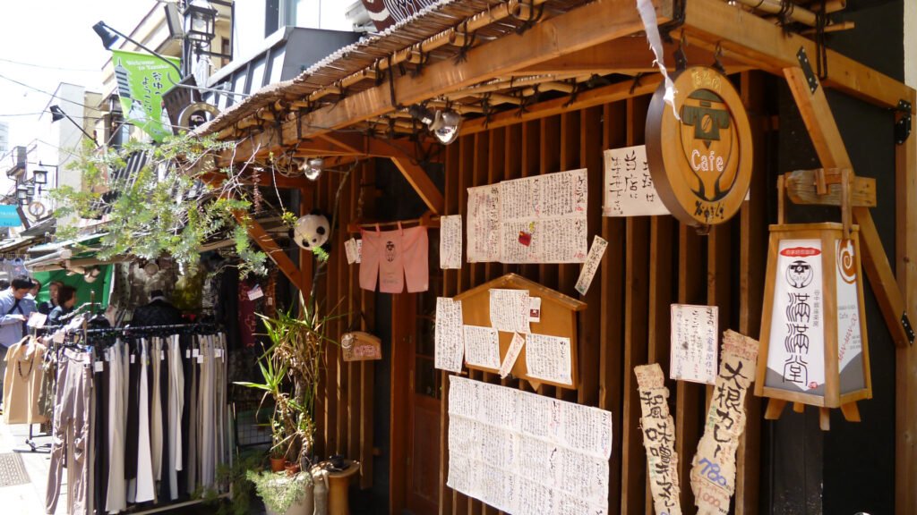 A shop in Yanesen