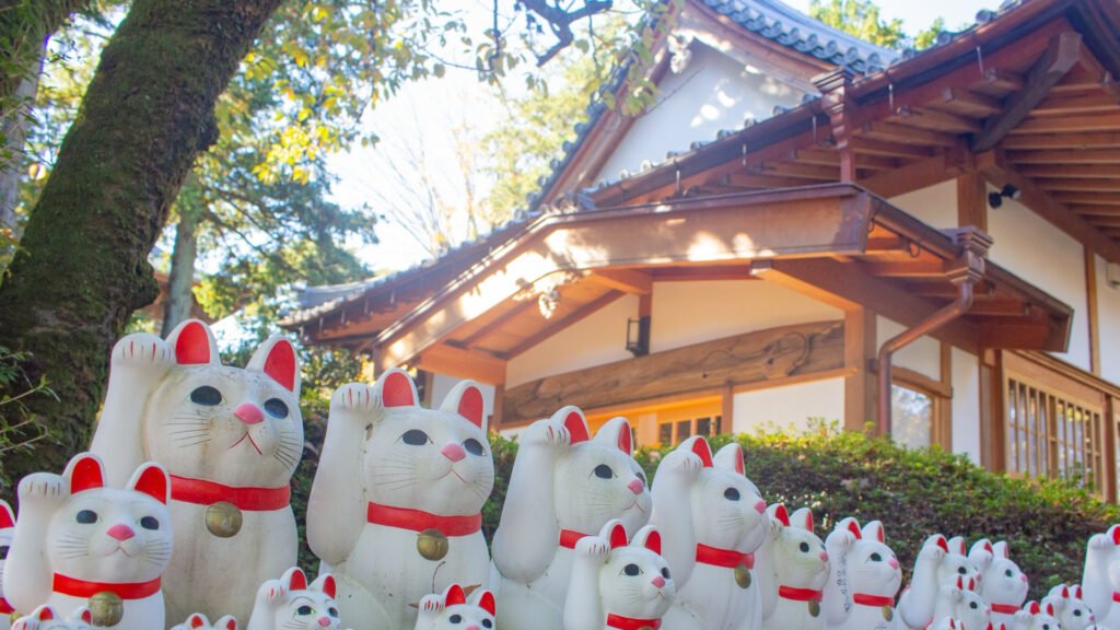Gotokuji Temple filled with Lucky Cats