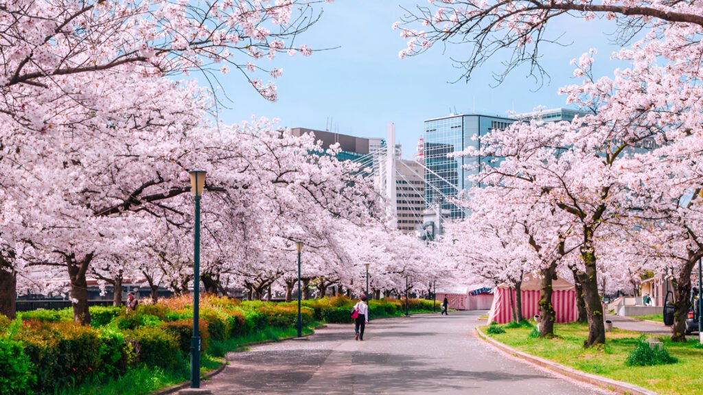 Yoyogi Park