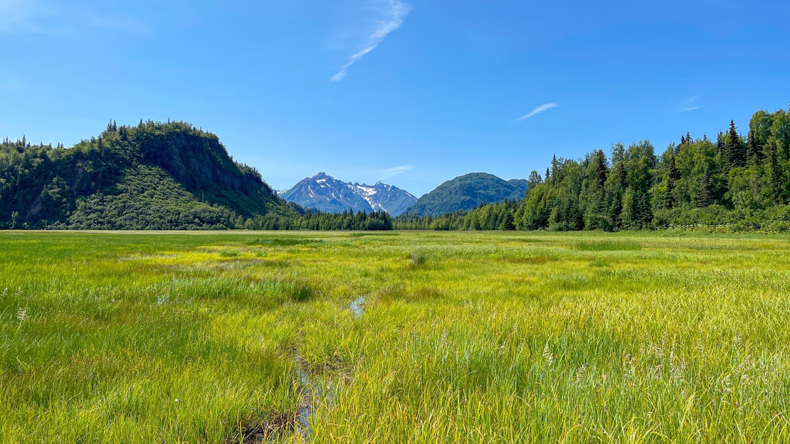 Lake Clark during summer