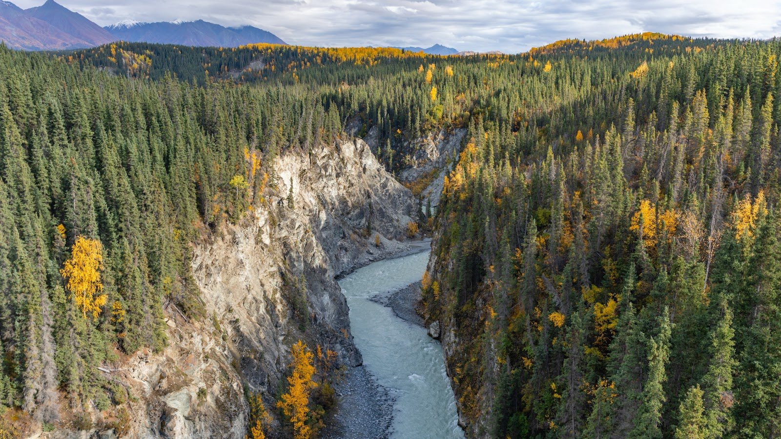 Wrangell-St. Elias National Park & Preserve