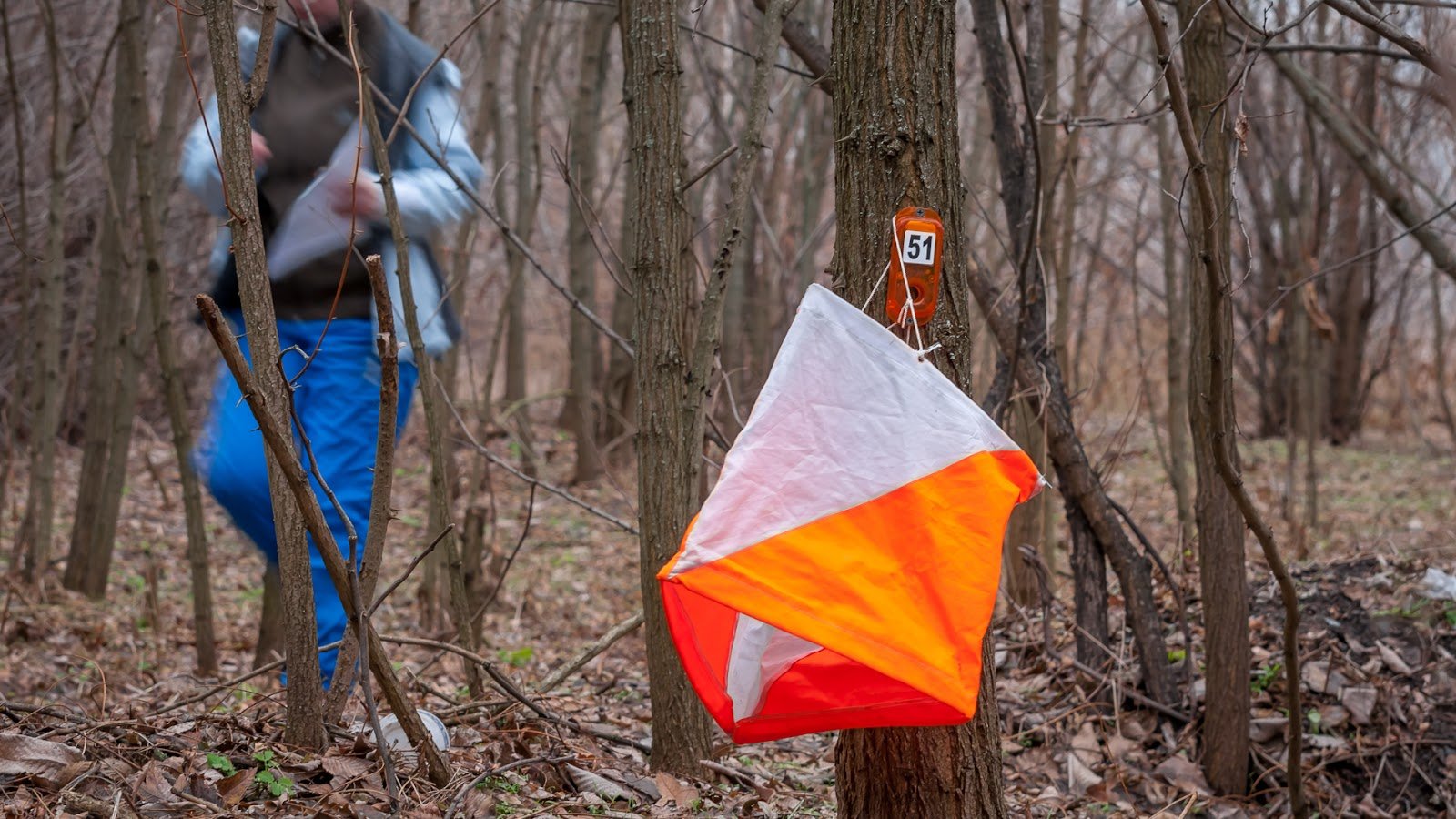Orienteering