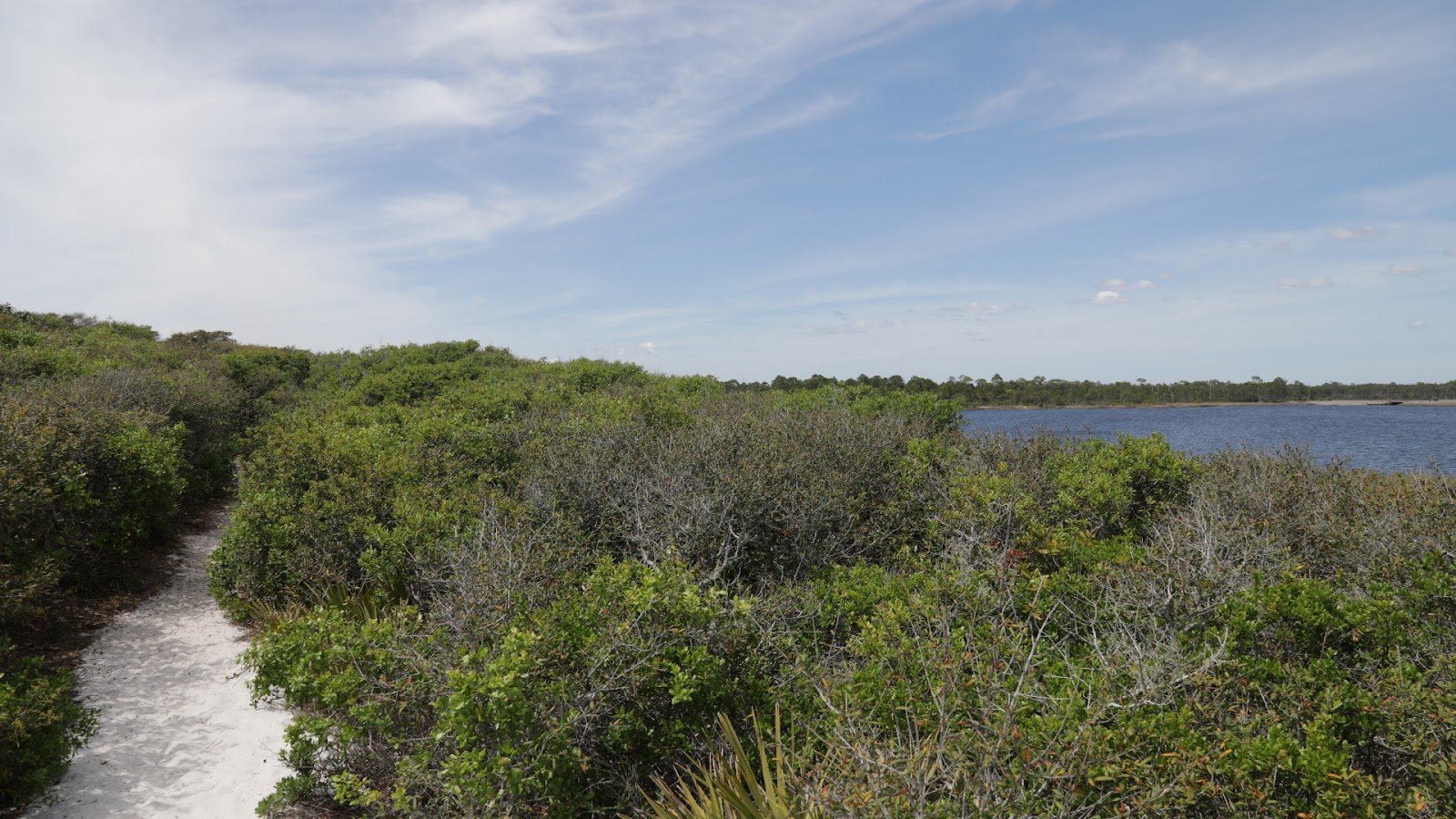 Grayton Beach State Park