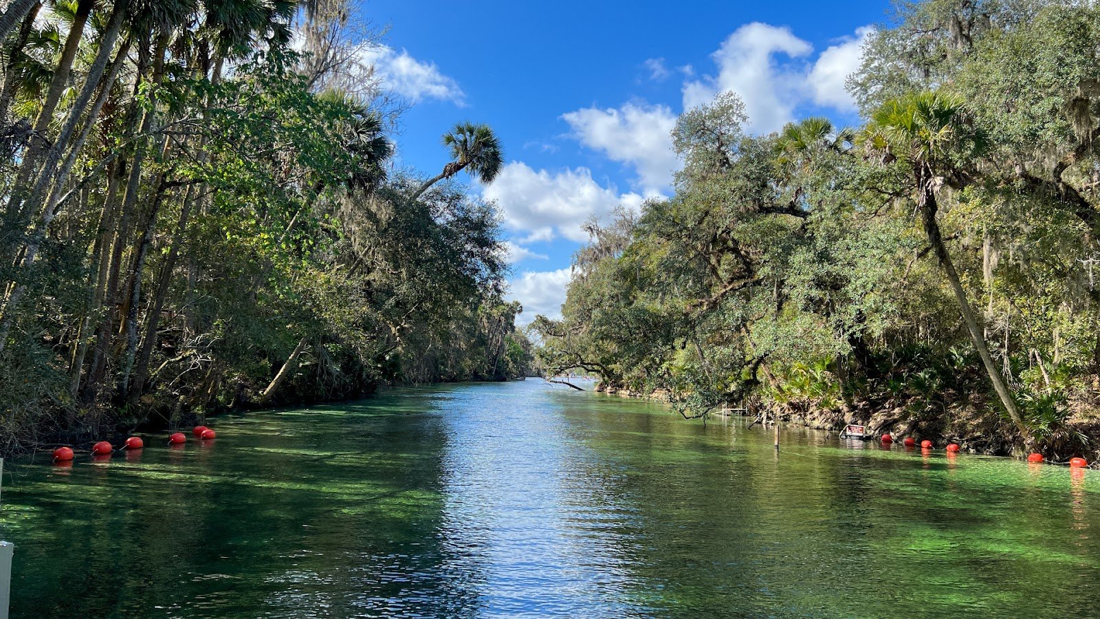 Blue Spring State Park