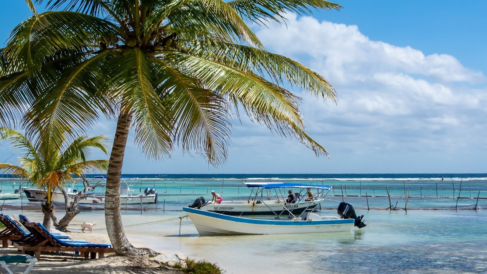 Mahahual