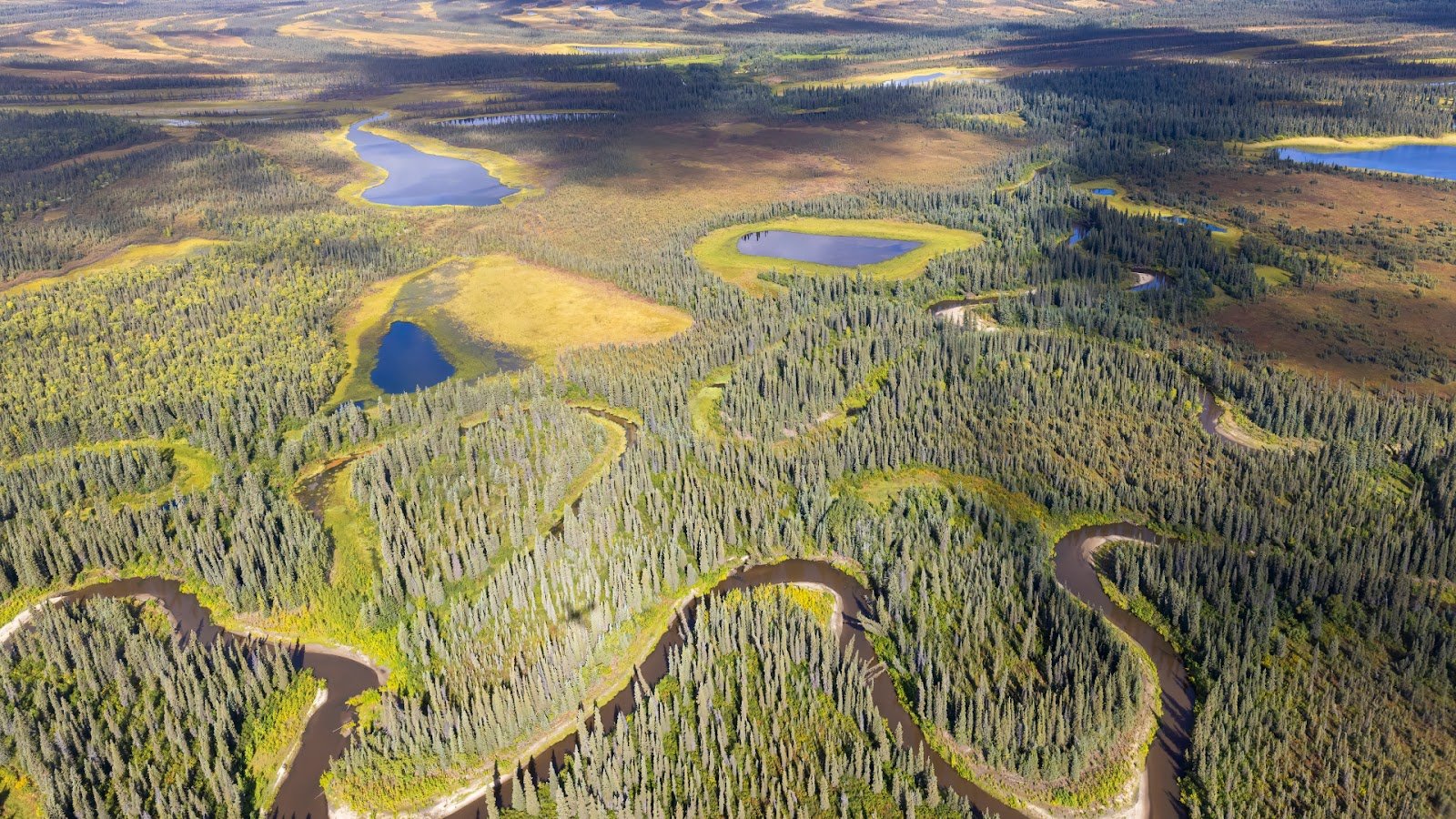 Kobuk National Park: Aerial view