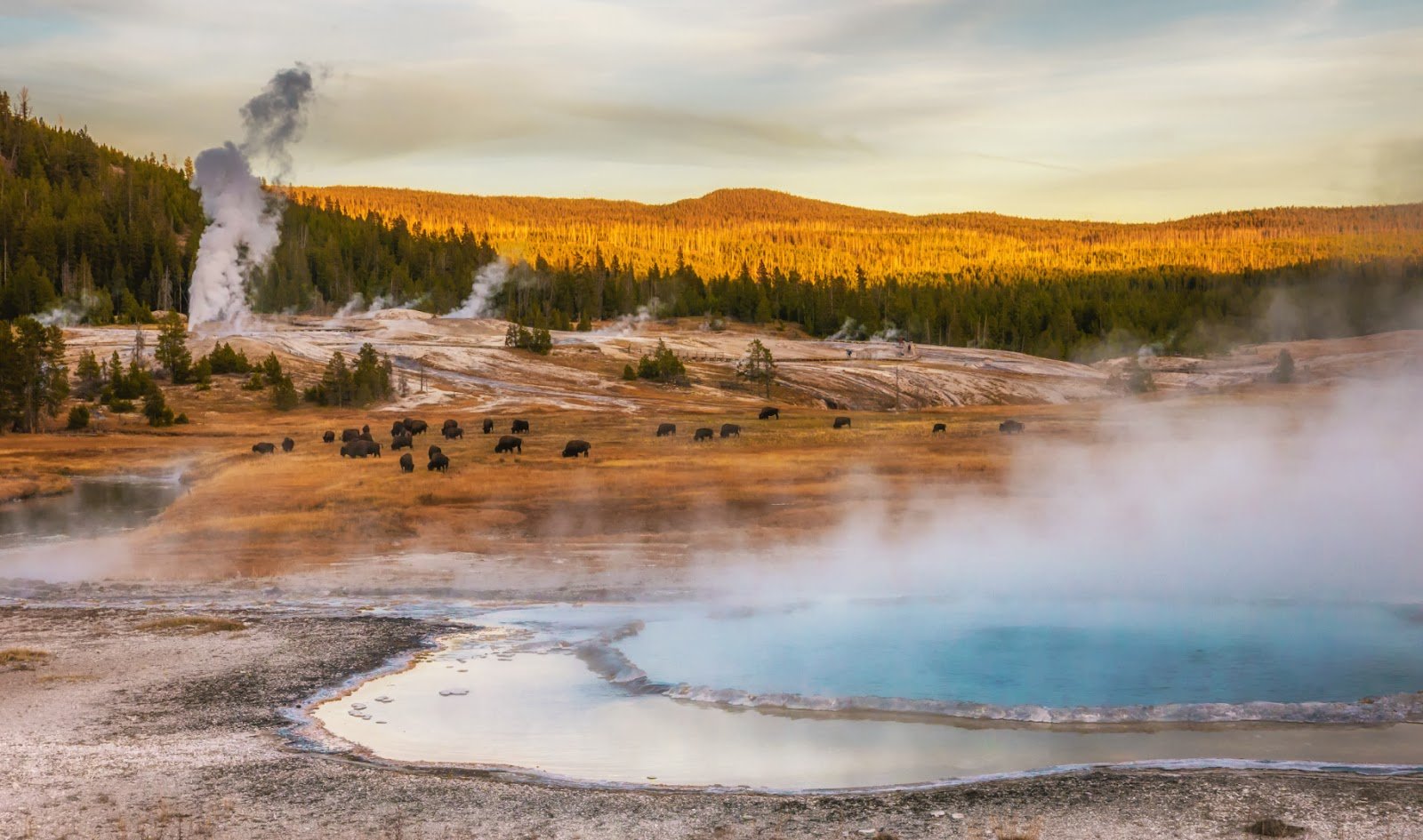 A view of the Yellowstone National Pak