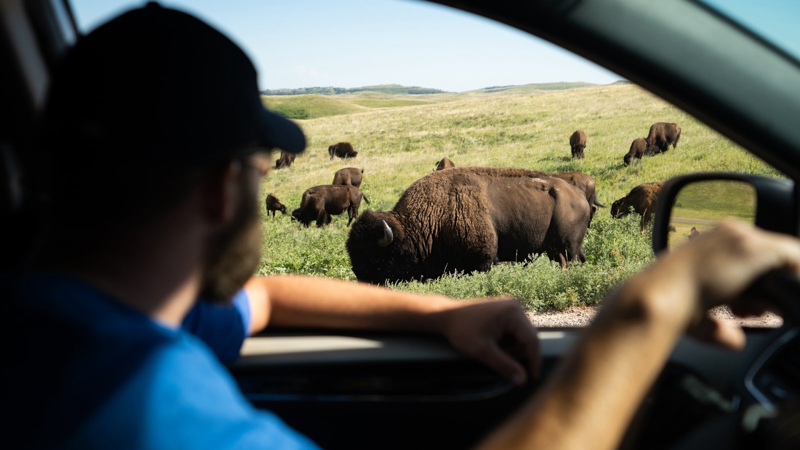 A tourist in the Yellowstone national Park