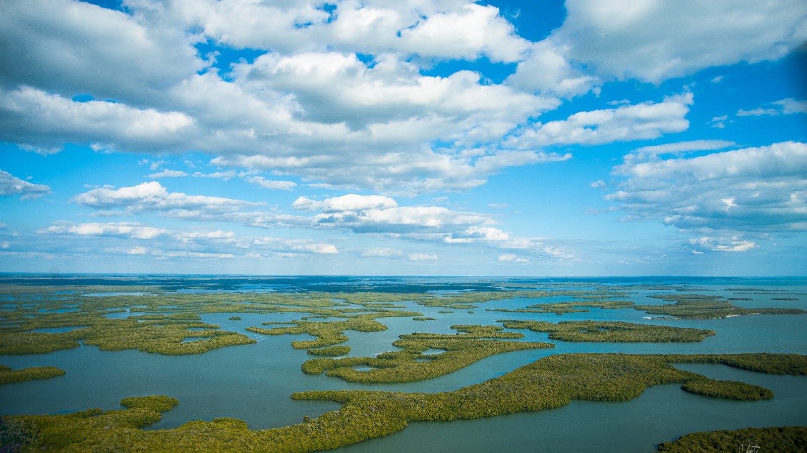 A view of the Everglades