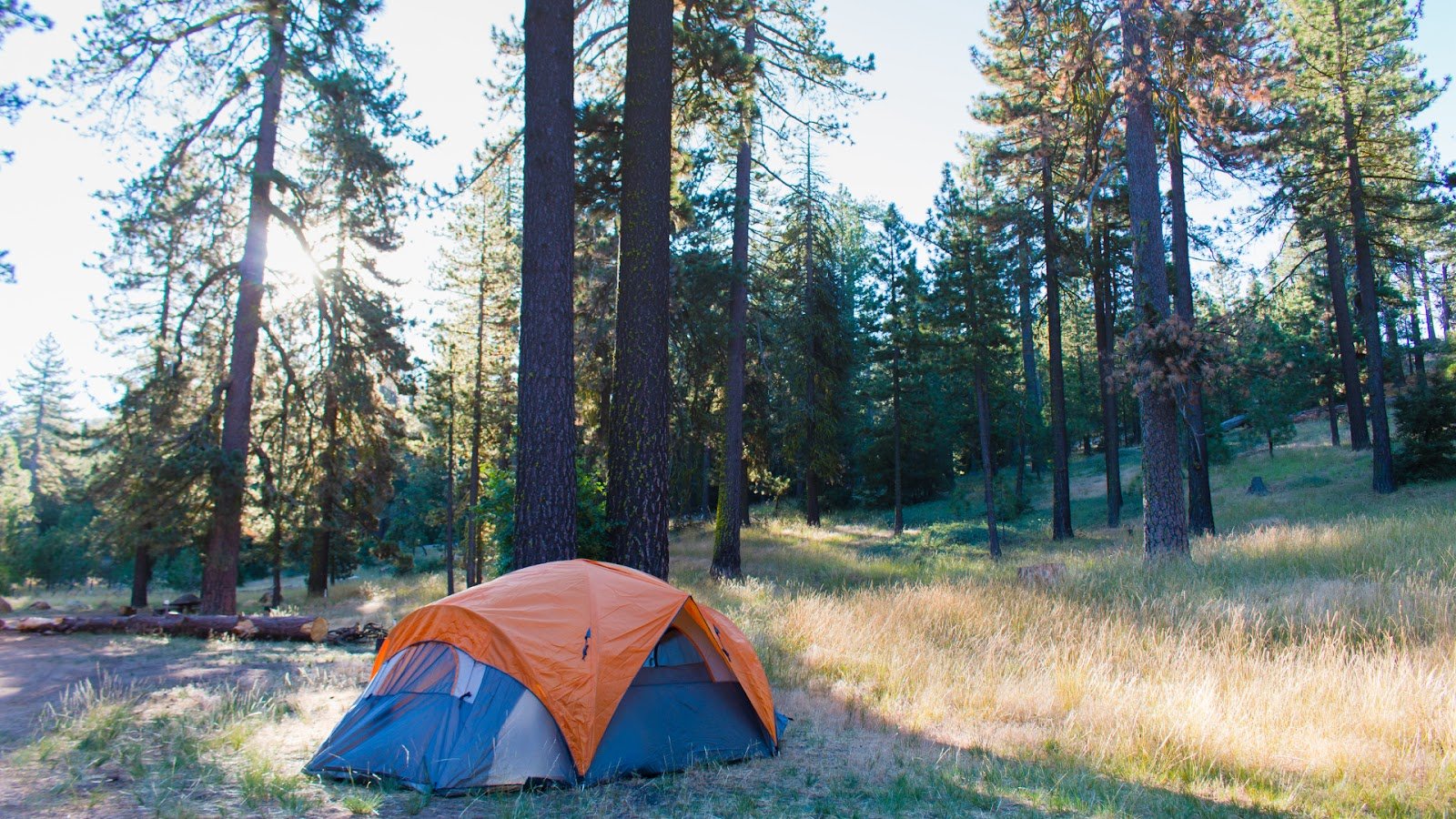 Los Padres National Forest