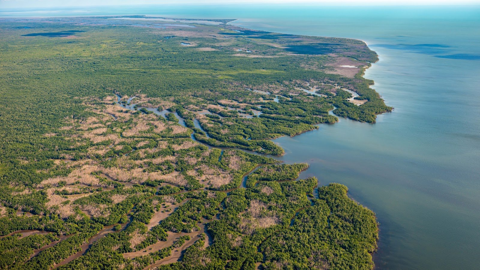 An aerial view of the Everglades