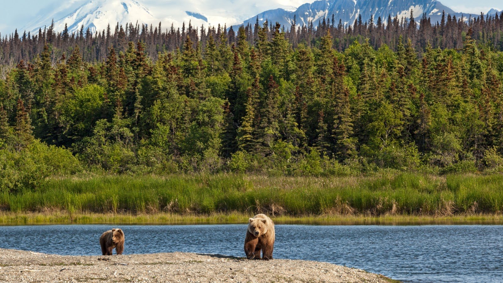 Katmai National Park & Preserve