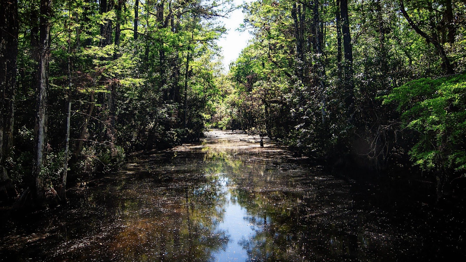 Everglades National Park
