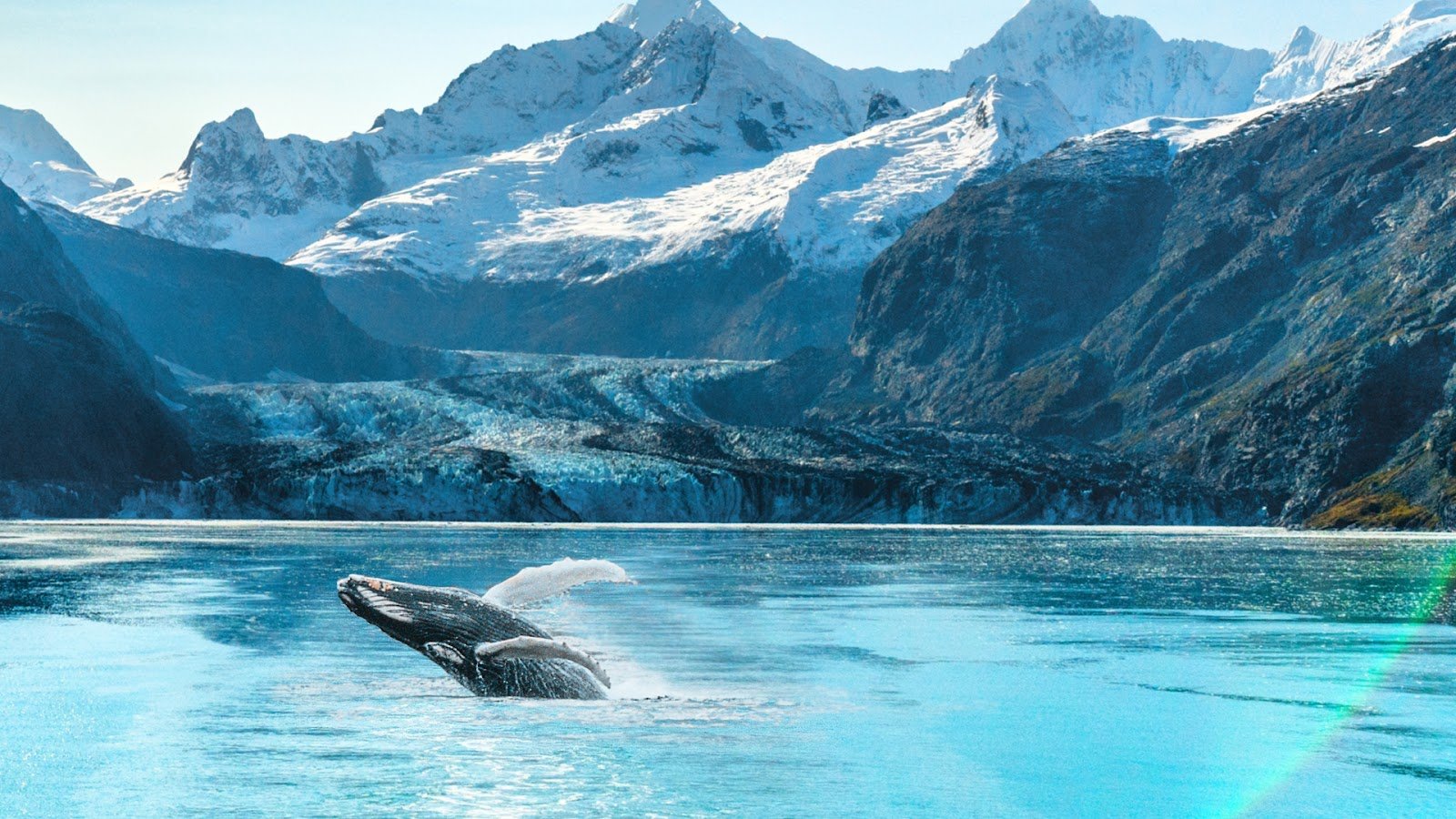 Glacier Bay National Park & Preserve