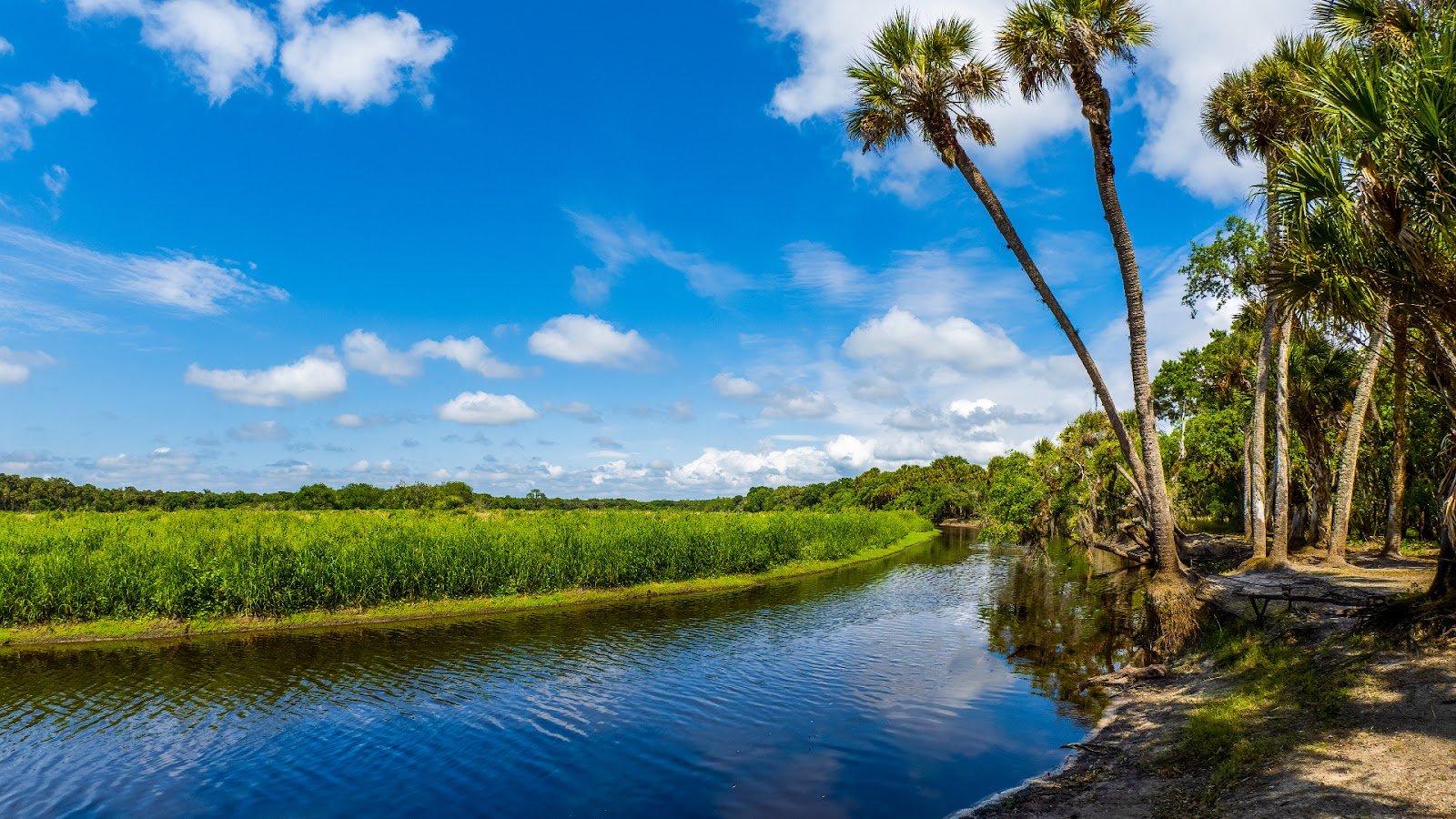 Myakka River State Park