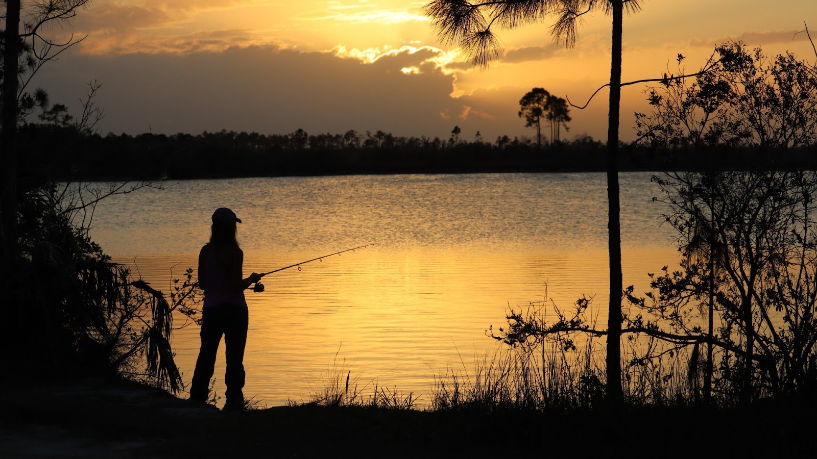 Fishing in the Everglades