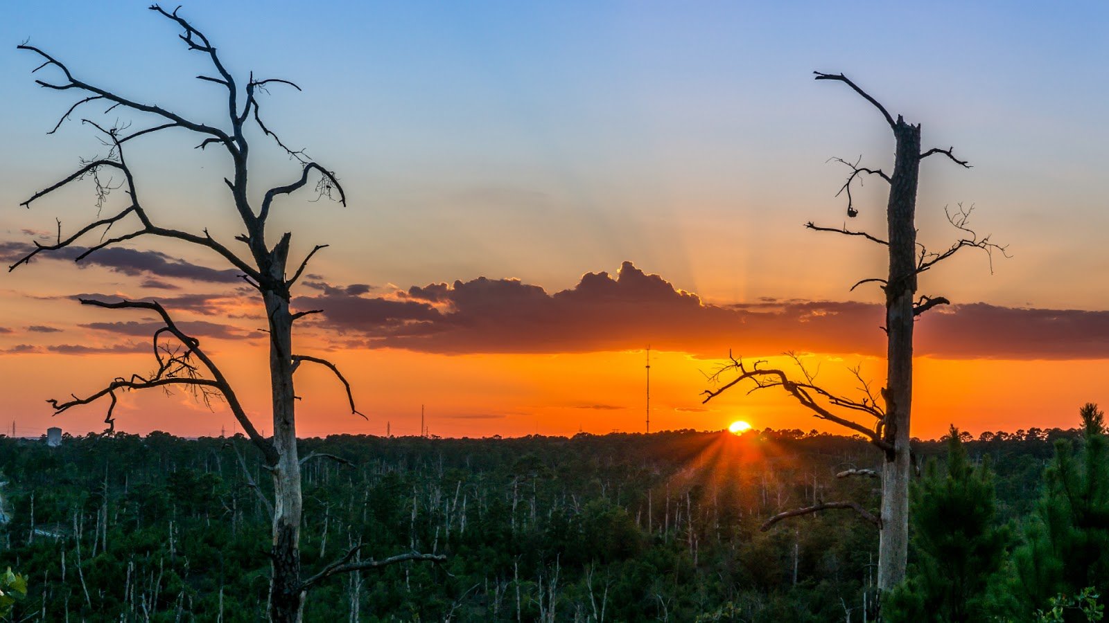Bastrop State Park