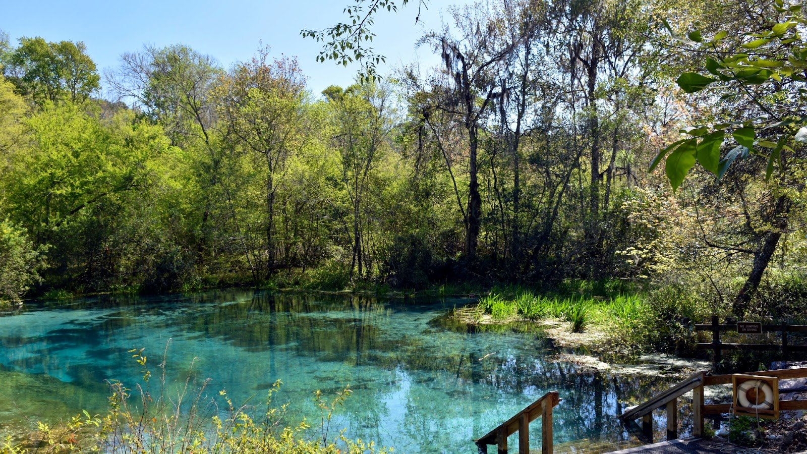 Ichetucknee Springs State Park