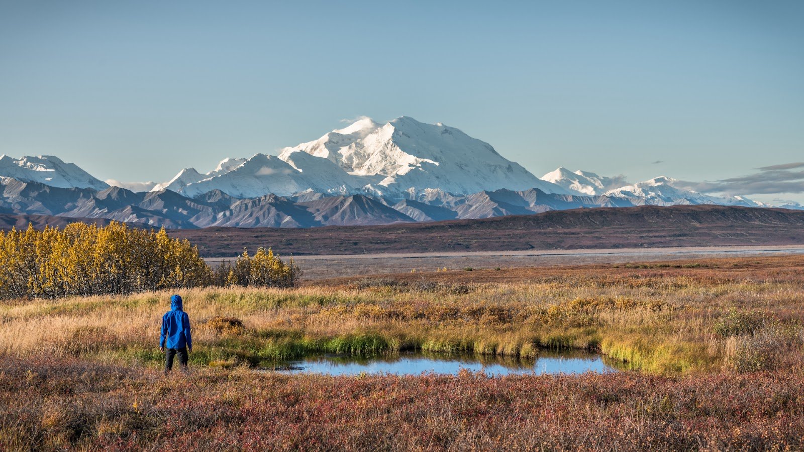 Hiking in Denali National Park