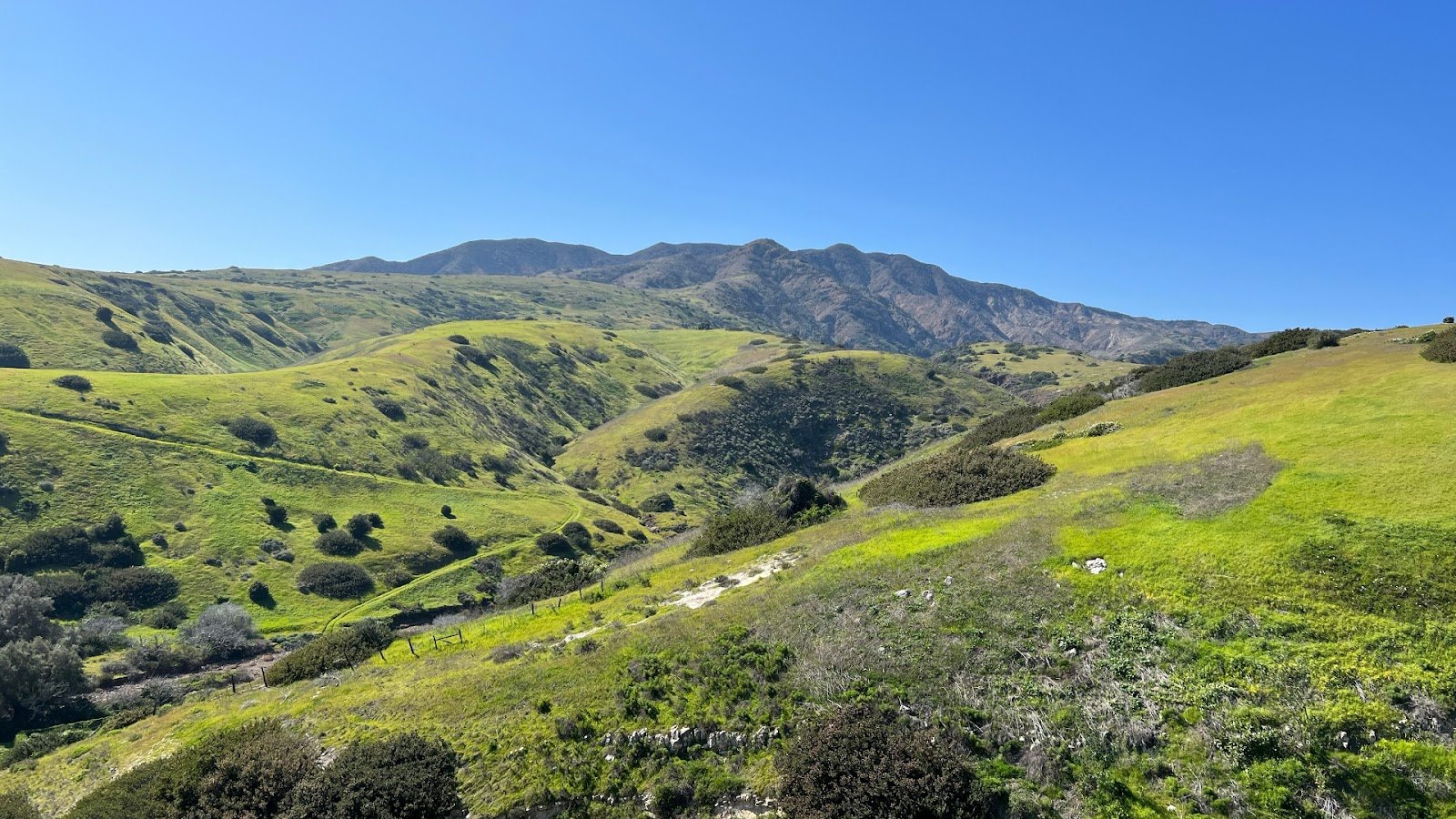 Channel Islands National Park
