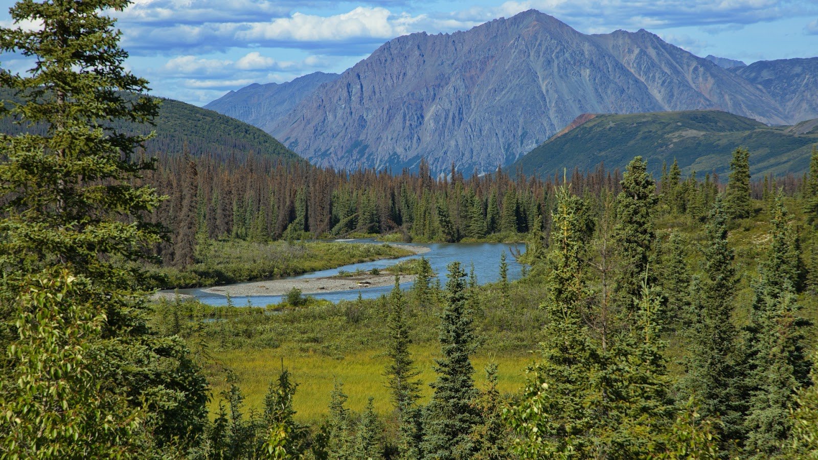 A view of Denali National Park