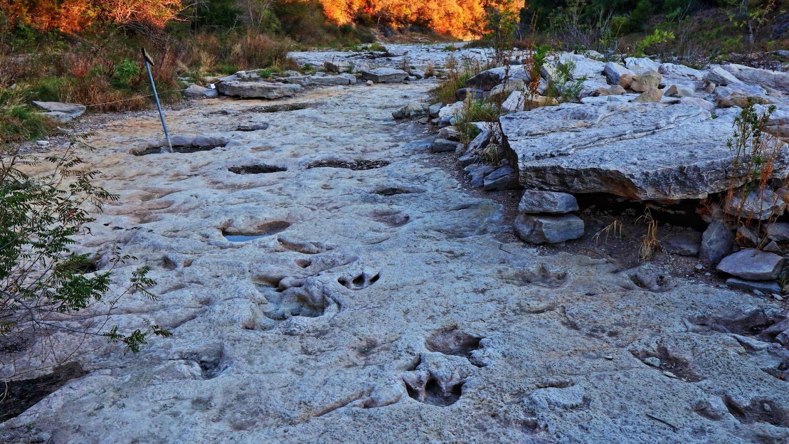Dinosaur Valley State Park