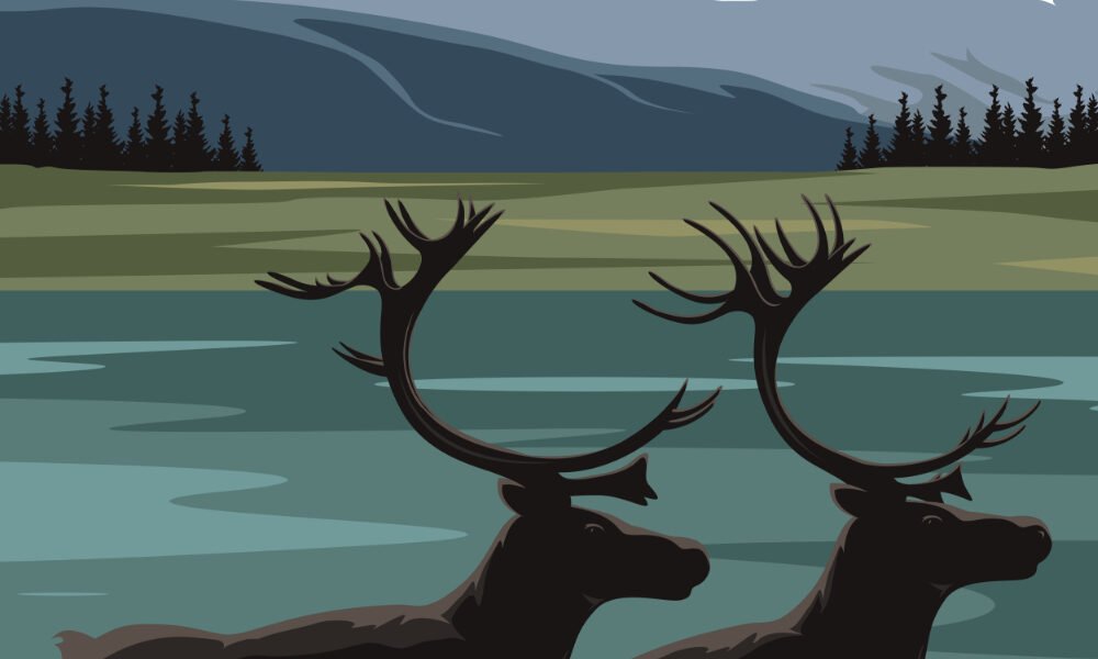 Kobuk Valley National Park, Alaska’s Wilderness At Its Finest