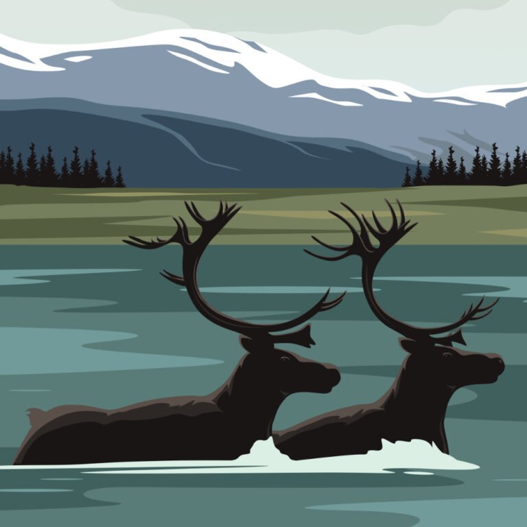 Kobuk Valley National Park, Alaska’s Wilderness At Its Finest