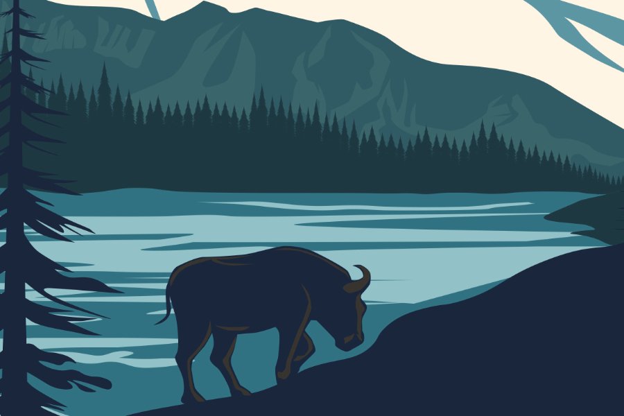 Things to do in Denali National Park: Wild Adventures