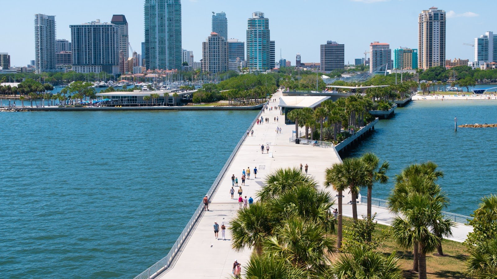 Tampa view