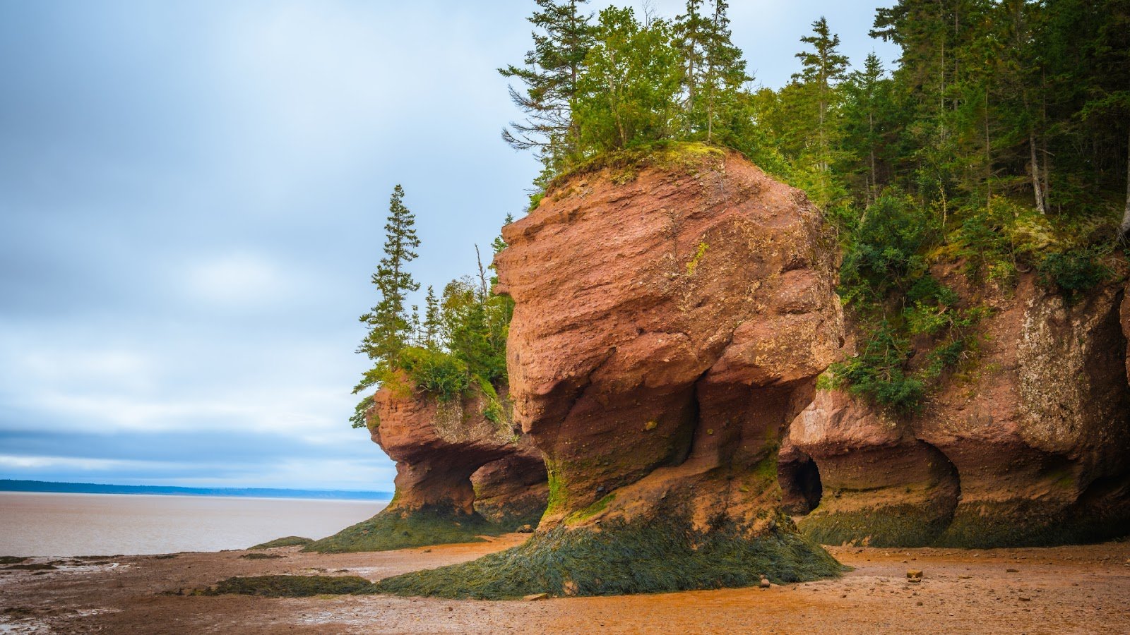Fundy National Park