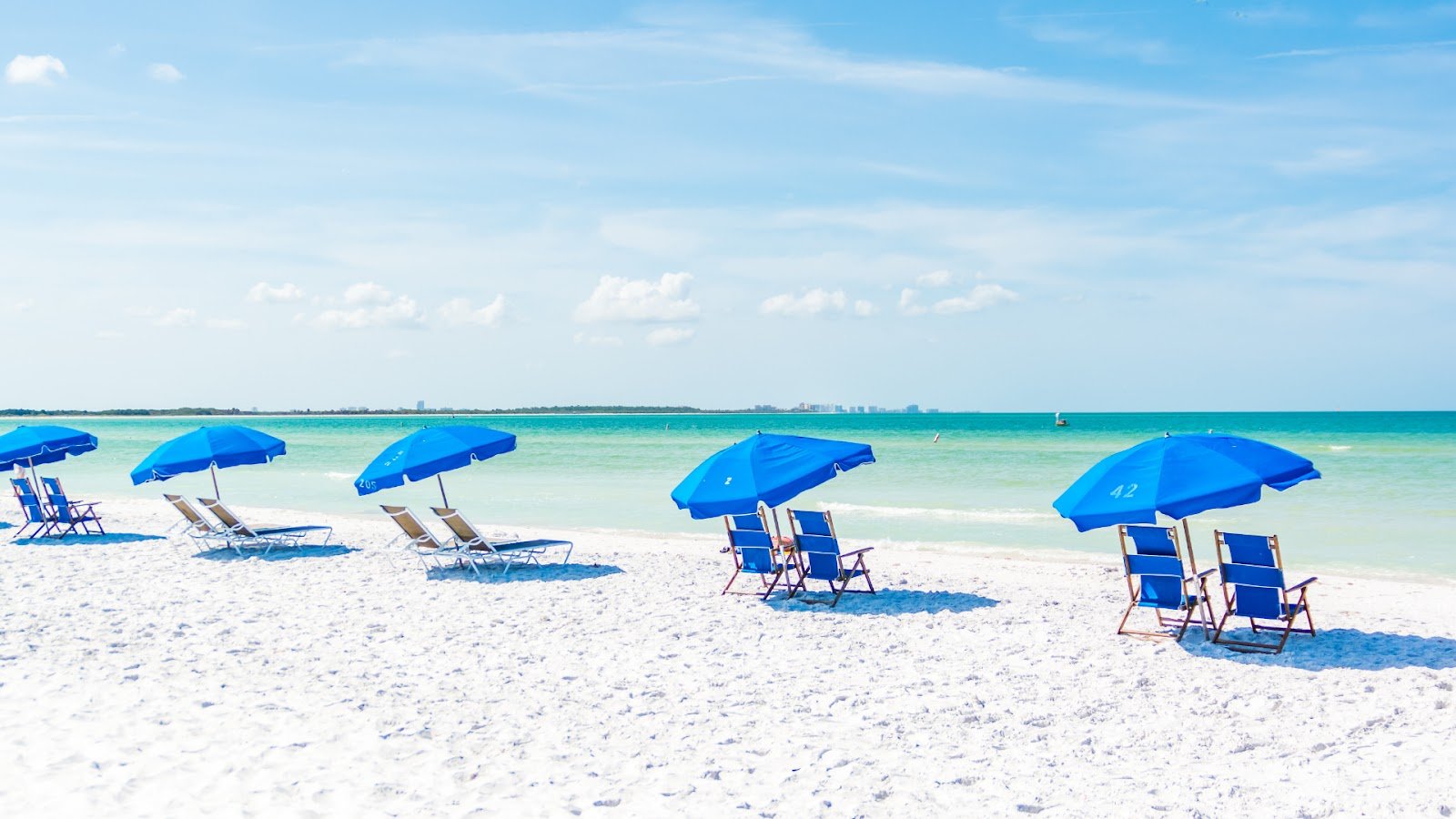 Sunny weather in Tampa