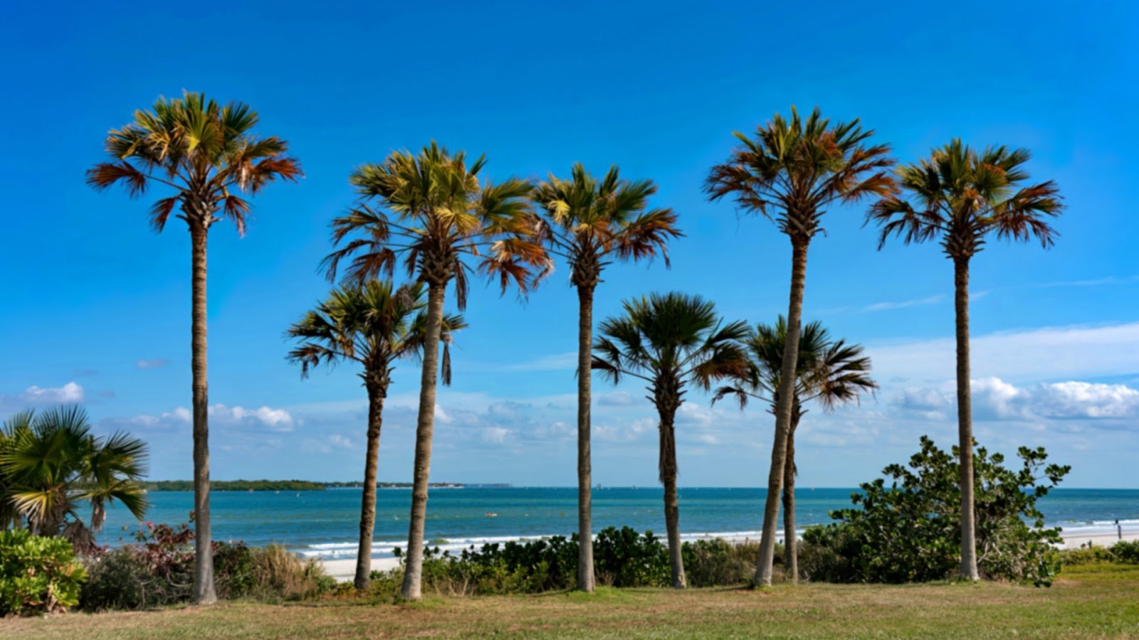 Fort De Soto Park