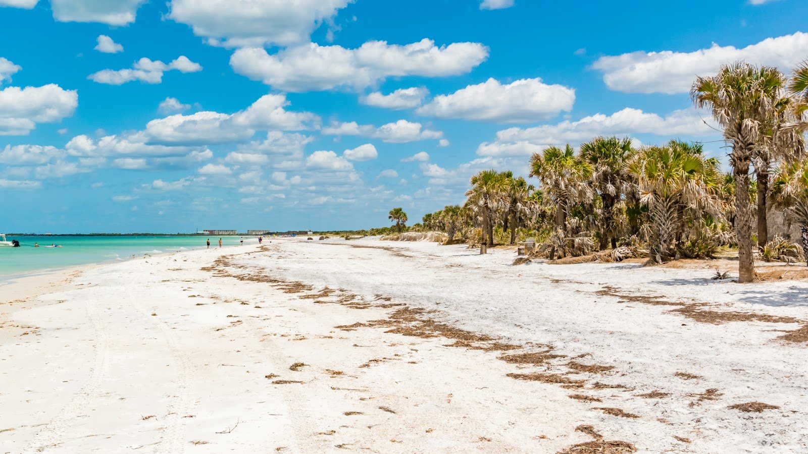 Caladesi Island