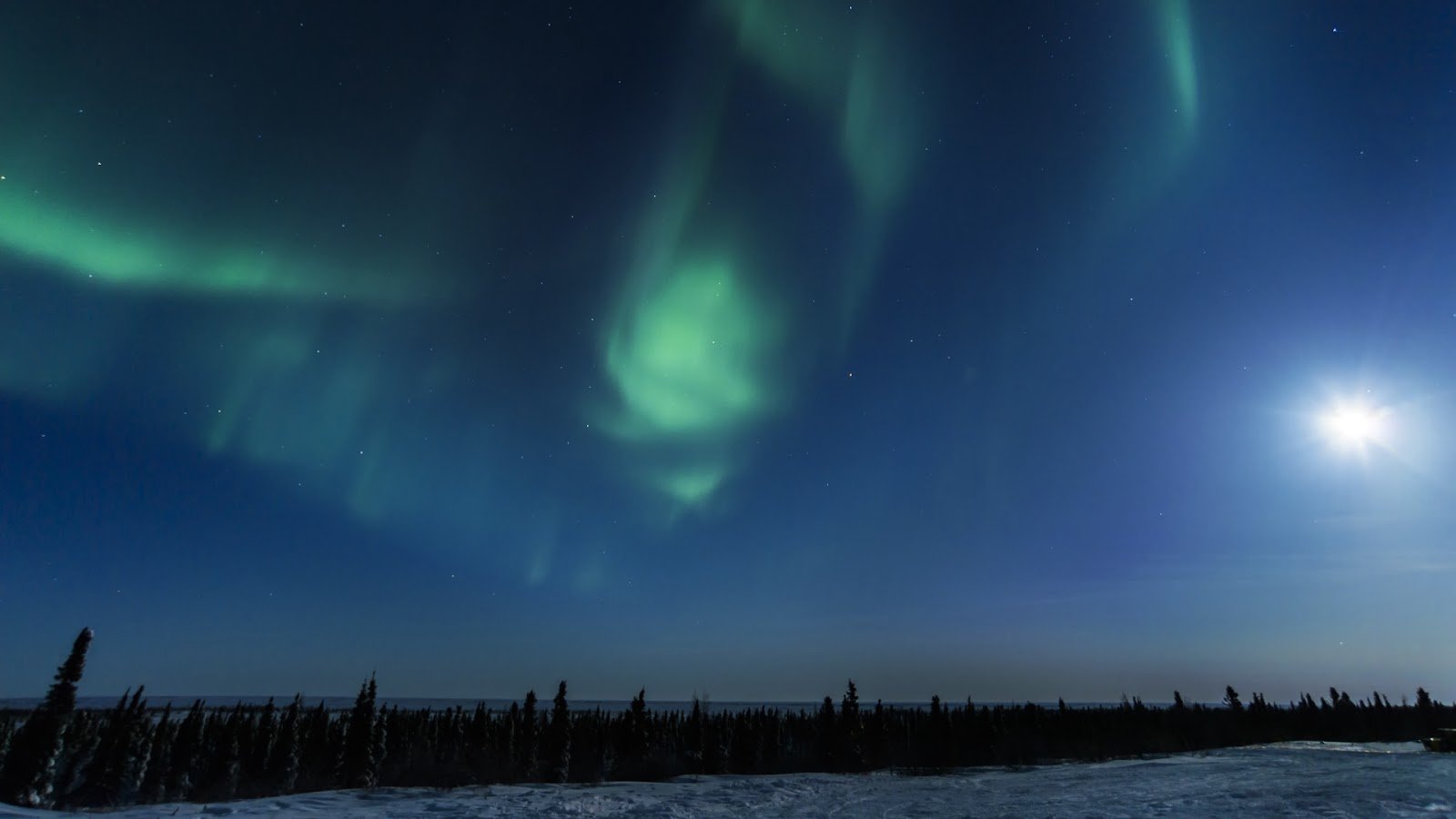 Wapusk National Park
