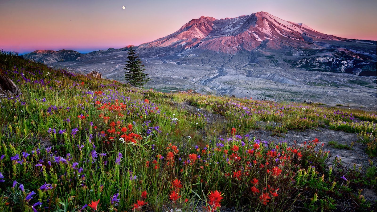 Mount St. Helens