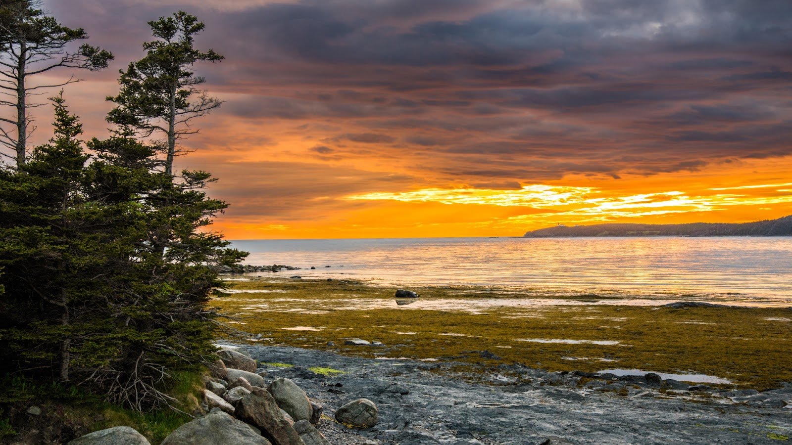 Gros Morne National Park