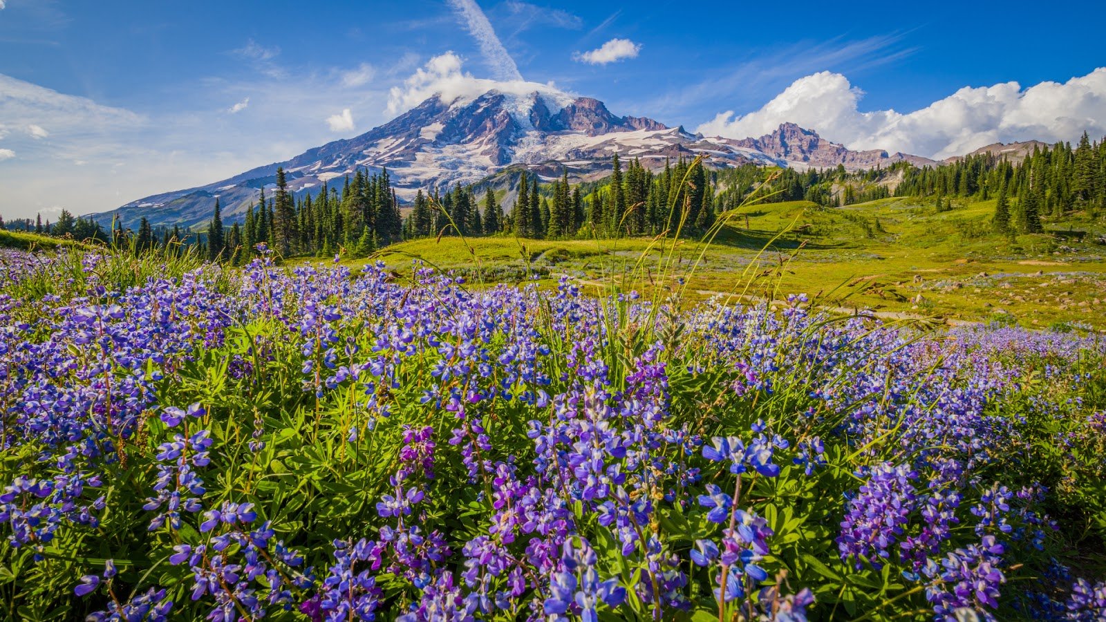 Mount Rainier