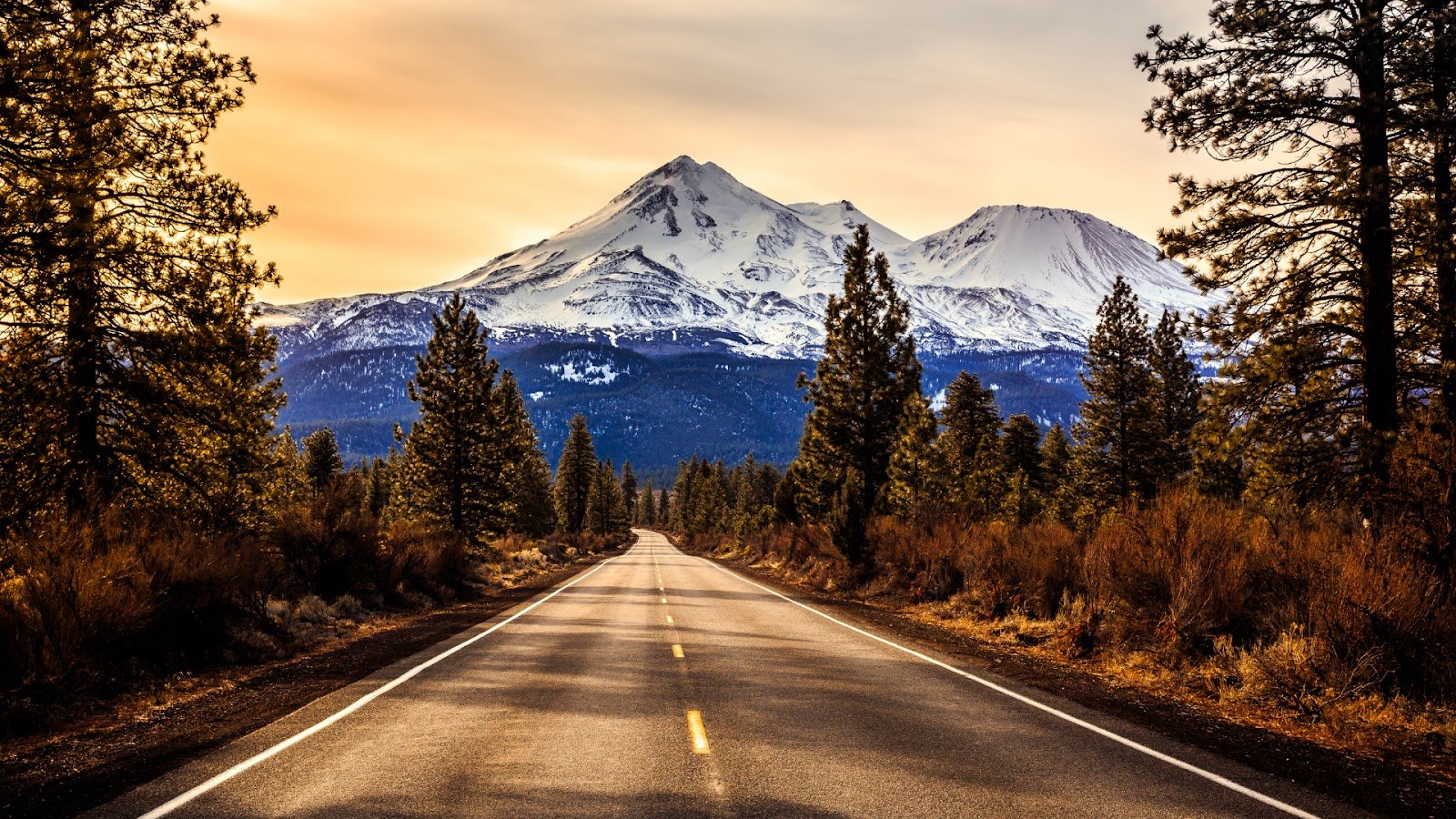 Mount Shasta
