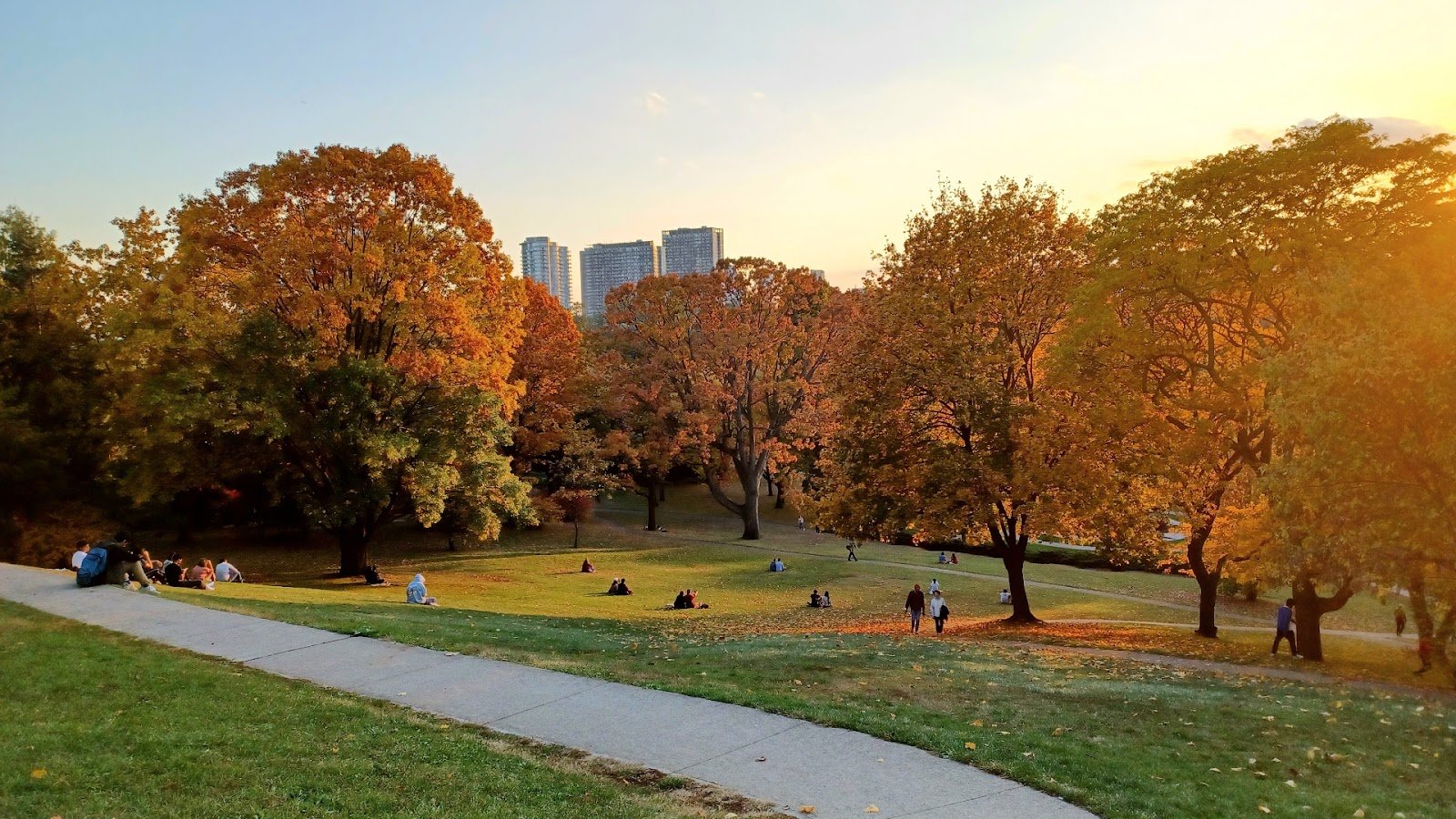High Park