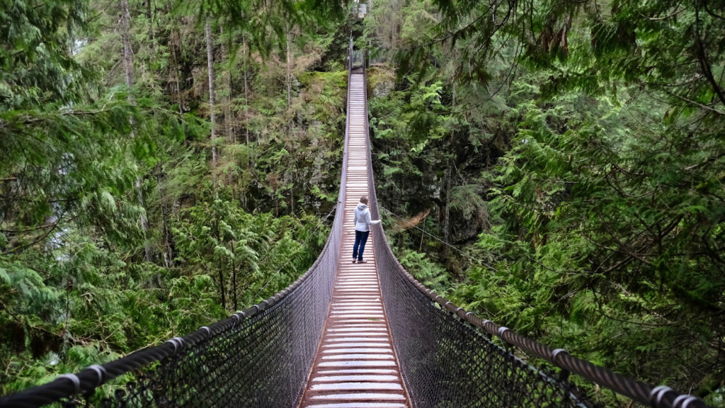 Suspension Bridge