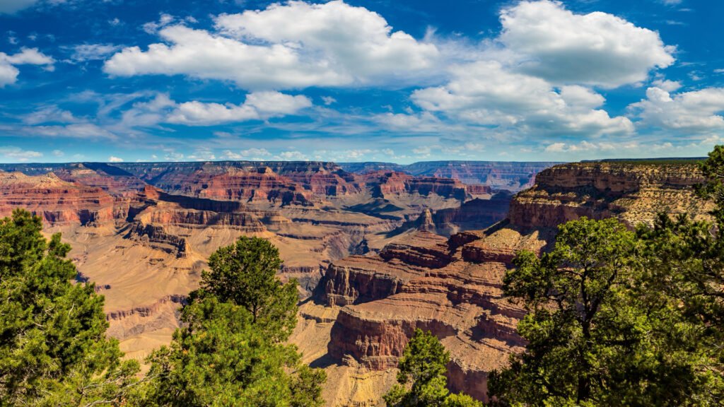 The Grand Canyon